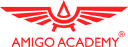amigo academy