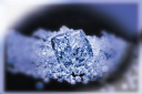 Blue Star Diamonds Pvt Ltd