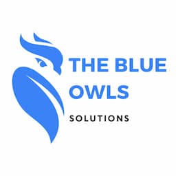 The Blue Owls Solutions