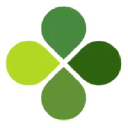 Springer Capital
