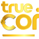 TRUE CONNECTZ HR SERVICES logo