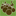 FarmSpice